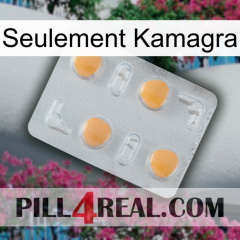 Only Kamagra 24